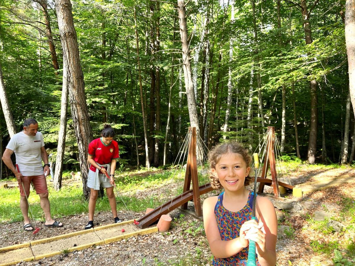 Village De Chalets Et Camping La Pierre De L'Aigle La Bréole Екстериор снимка